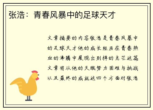 张浩：青春风暴中的足球天才